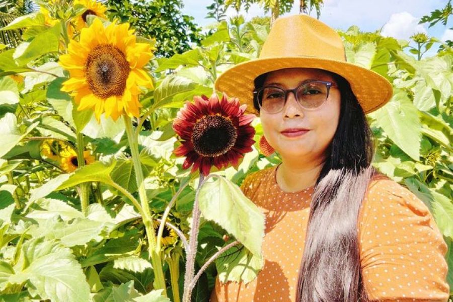 Tour de Girasoles desde Cancún y Playa del Carmen
