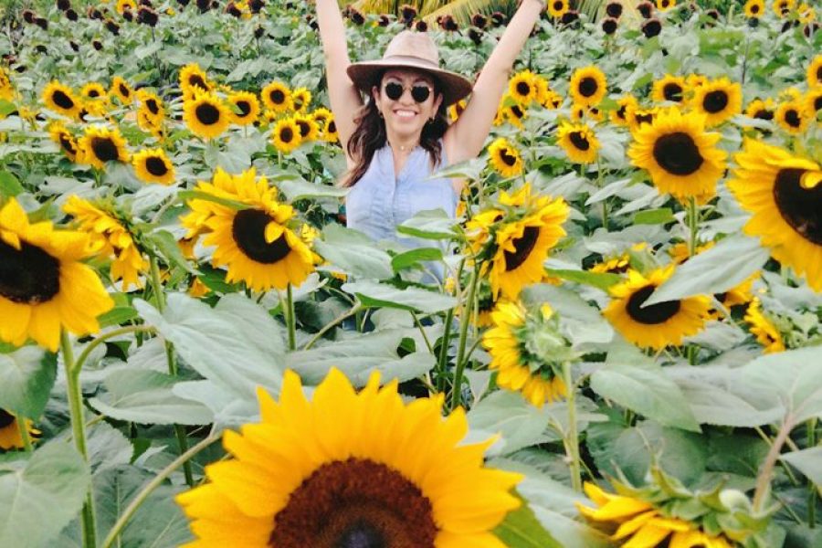 Jardín de Girasoles desde Cancún y Playa del Carmen