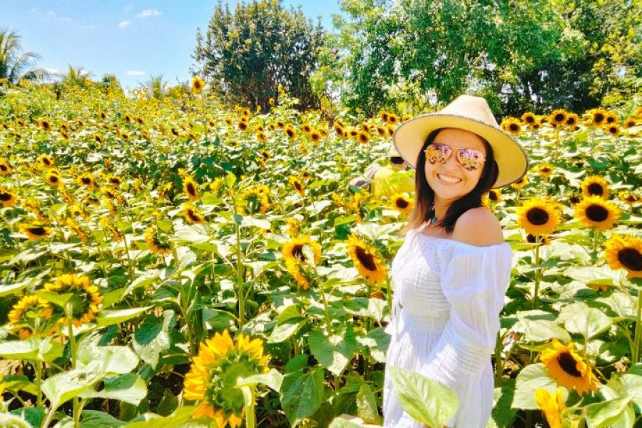 Campo de Girasoles Pueblos Mágicos de Tekax y Maní